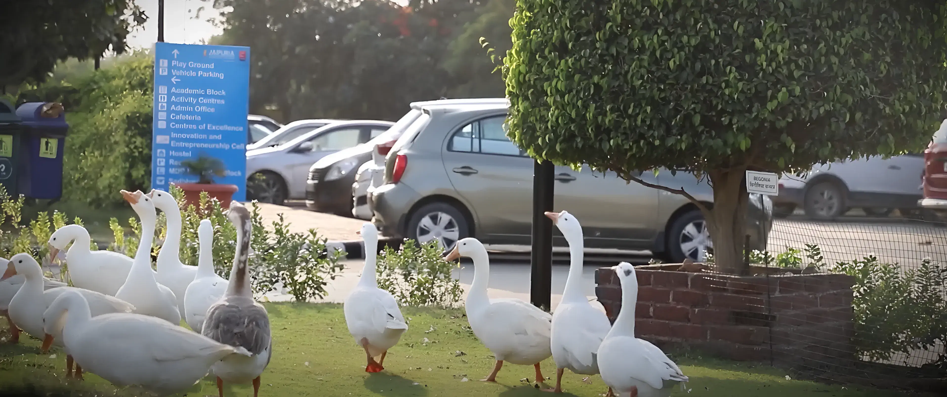 Jaipuria Institute of Management Academic Infrastructure photo 8